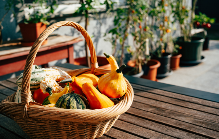 Image of pumpkins in a woven basket