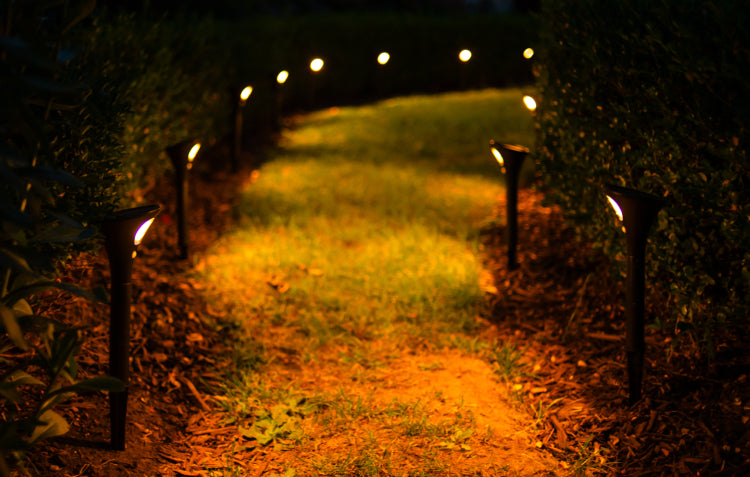 motion sensor path lights in garden