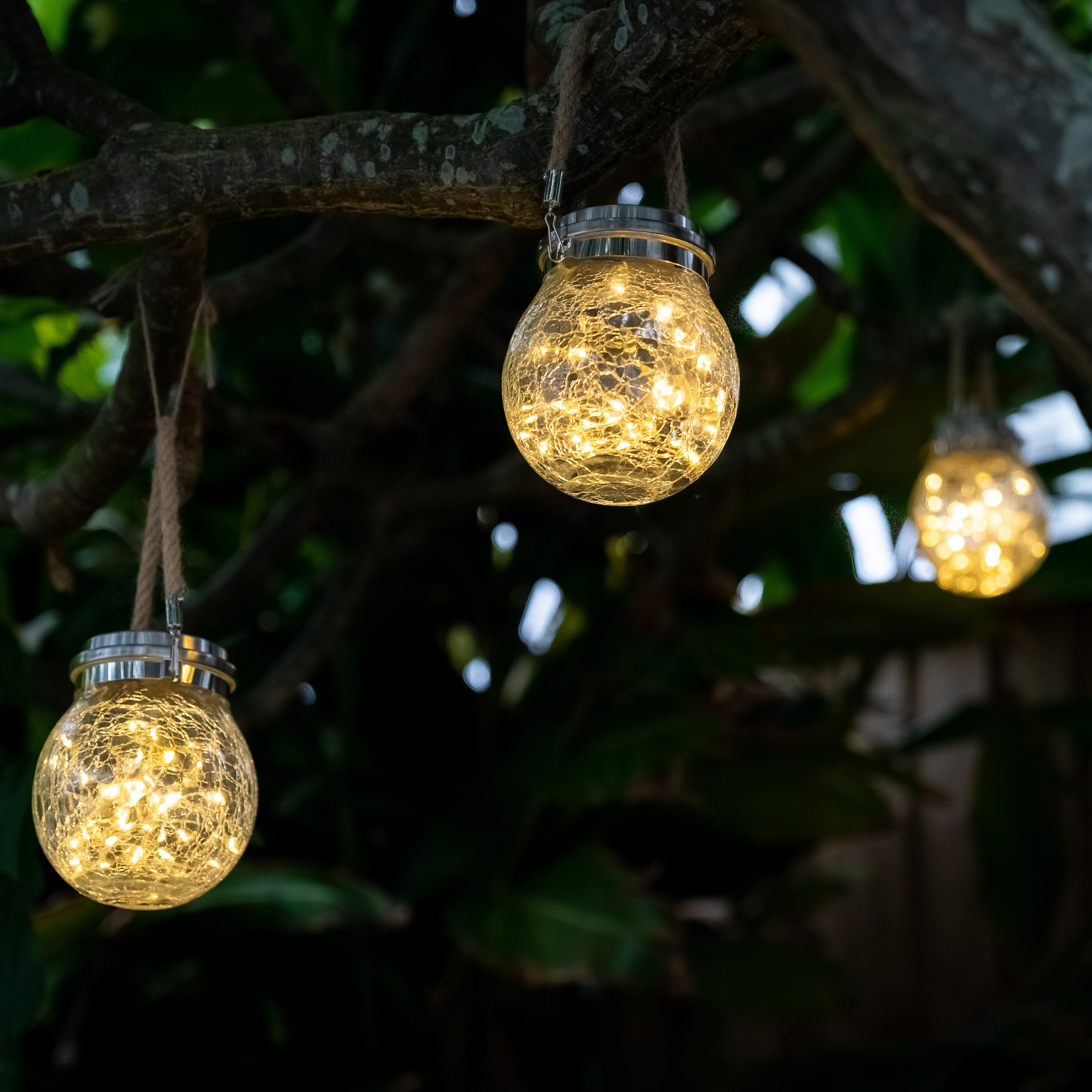 Crackle solar on sale garden lights