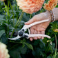 close up of peach secateurs cutting fresh flowers