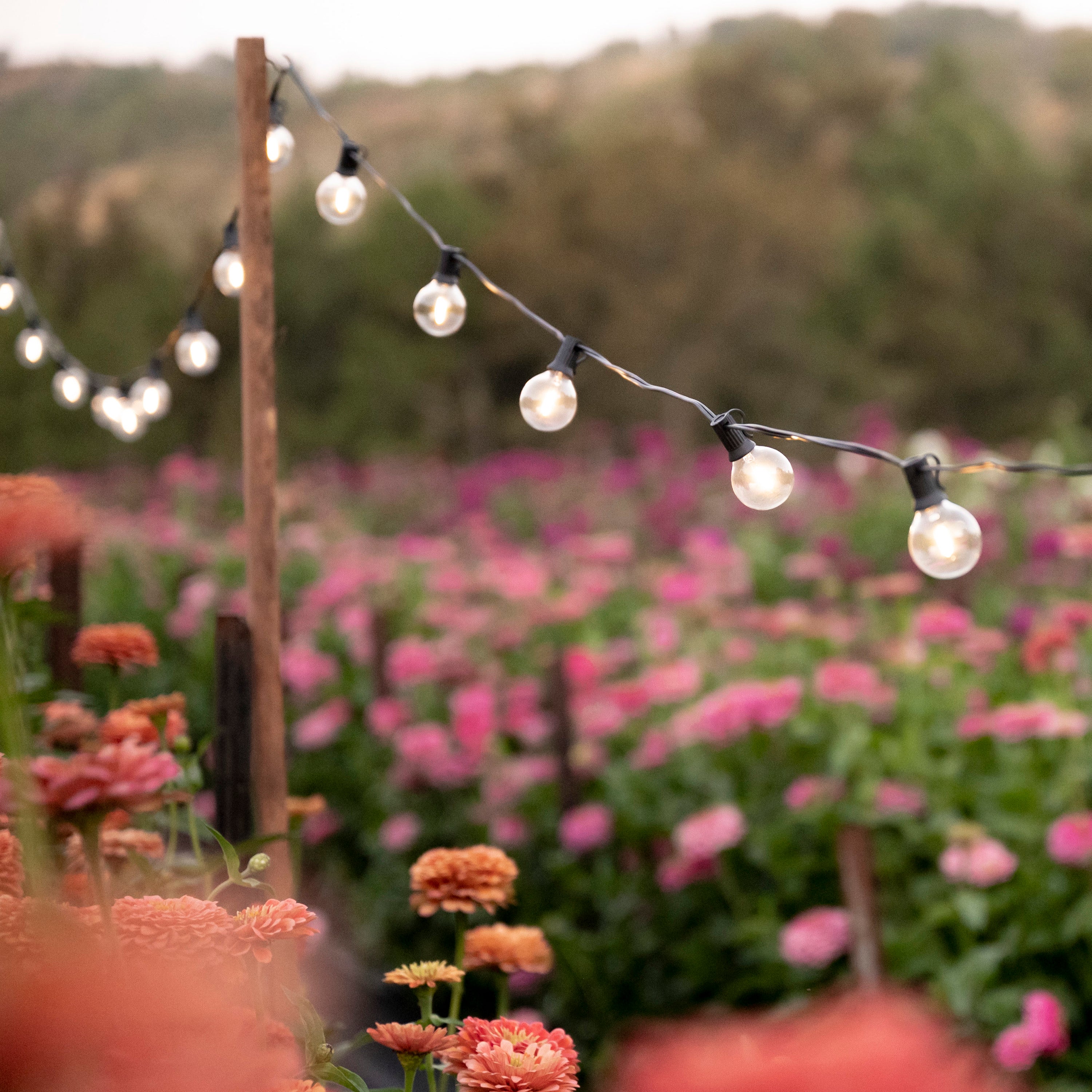 String lights deals for garden