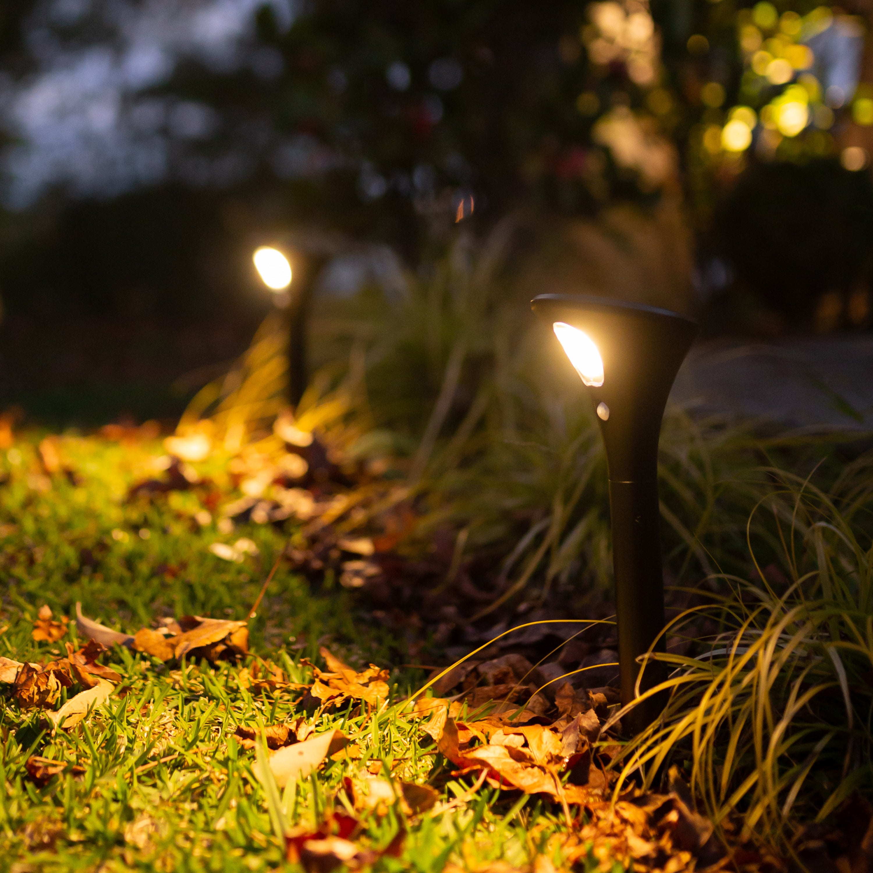 Outdoor solar deals path lights